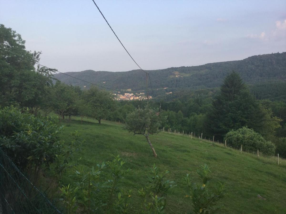 La Ferme De La-Haut B&B Le Haut-du-Them Eksteriør billede