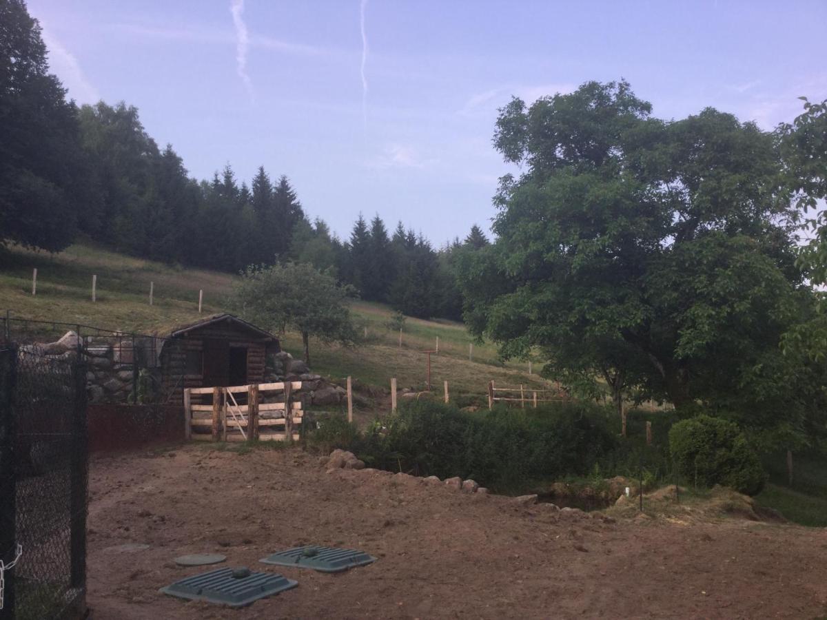 La Ferme De La-Haut B&B Le Haut-du-Them Eksteriør billede