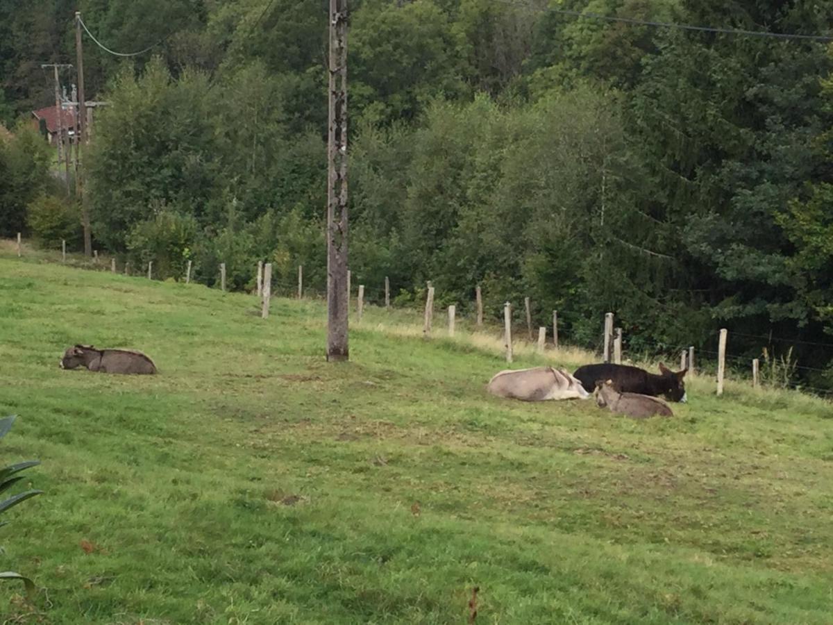 La Ferme De La-Haut B&B Le Haut-du-Them Eksteriør billede